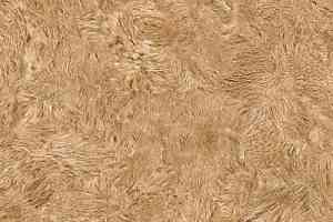 Линолеум Juteks Forum PRIDE 2_613M фото  | FLOORDEALER